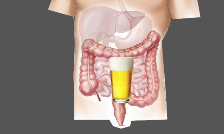 Darmen van de mens met een biertje erin